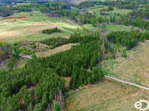 Prodej lesa, Jetětice, 79500 m2