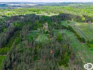 Prodej lesa, Jetětice, 79500 m2