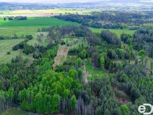 Prodej lesa, Jetětice, 79500 m2