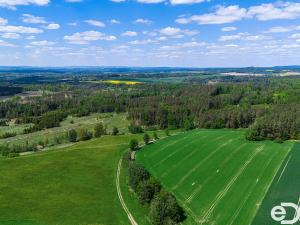 Prodej lesa, Jetětice, 79500 m2