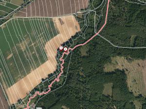 Prodej lesa, Jetětice, 79500 m2