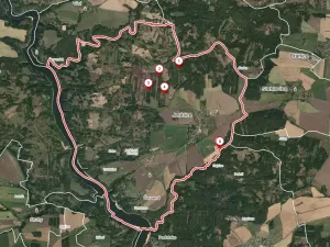 Prodej lesa, Jetětice, 79500 m2