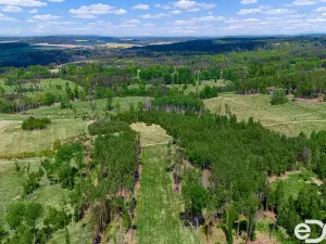 Prodej lesa, Jetětice, 79500 m2