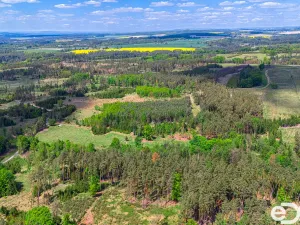 Prodej lesa, Jetětice, 79500 m2