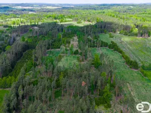Prodej lesa, Jetětice, 79500 m2