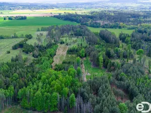 Prodej lesa, Jetětice, 79500 m2