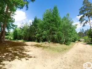 Prodej lesa, Jetětice, 79500 m2
