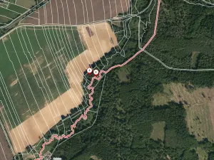 Prodej lesa, Jetětice, 79500 m2