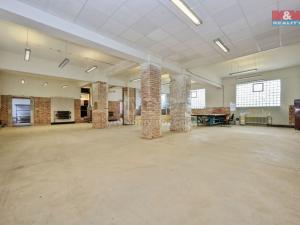 Pronájem výrobních prostor, Havlíčkův Brod, Humpolecká, 250 m2