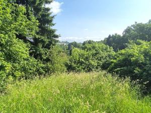 Prodej chalupy, Turnov, Hruboskalská, 100 m2