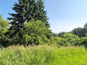 Prodej chalupy, Turnov, Hruboskalská, 100 m2