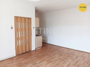 Prodej bytu 1+kk, Znojmo, Růženy Svobodové, 31 m2