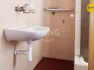 Prodej bytu 1+kk, Znojmo, Růženy Svobodové, 31 m2