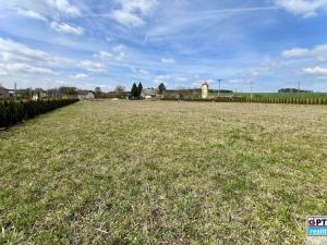 Prodej pozemku pro bydlení, Horní Kozolupy, 4014 m2