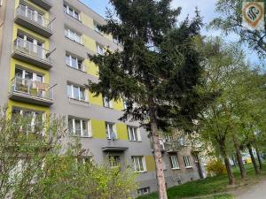 Prodej bytu 3+1, Praha, Senohrabská, 73 m2