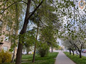 Prodej bytu 3+1, Praha, Senohrabská, 73 m2