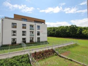 Pronájem bytu 2+kk, Praha - Bohnice, Pekařova, 35 m2