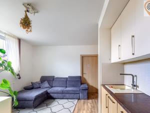 Pronájem bytu 2+kk, Plzeň, Skrétova, 45 m2