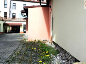 Pronájem obchodního prostoru, Klatovy, Pražská, 18 m2