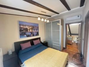 Pronájem bytu 3+kk, Praha - Žižkov, Cimburkova, 58 m2
