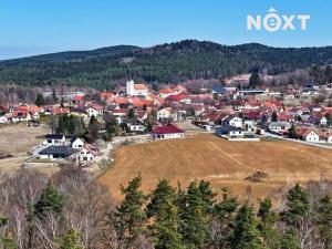 Prodej obchodního prostoru, Soběnov, 376 m2