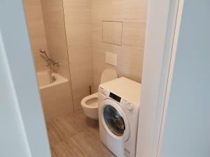 Pronájem bytu 1+kk, Praha - Karlín, Breitfeldova, 38 m2