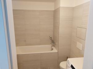 Pronájem bytu 1+kk, Praha - Karlín, Breitfeldova, 38 m2