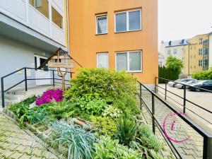 Prodej bytu 2+1, Jihlava, Chlumova, 50 m2