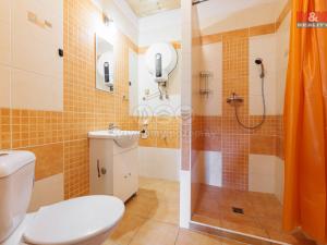 Prodej rodinného domu, Loket - Údolí, 180 m2