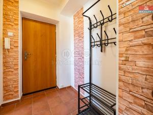 Pronájem bytu 1+1, Horní Slavkov, Dlouhá, 49 m2