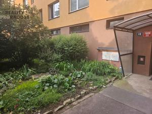 Prodej bytu 1+kk, Praha, Benkova, 28 m2