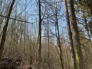 Prodej pozemku, Louňovice pod Blaníkem, 23891 m2
