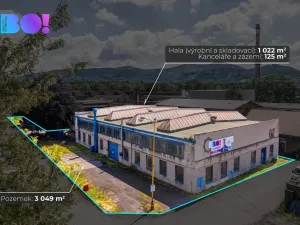 Prodej výrobních prostor, Frýdlant nad Ostravicí, 1147 m2