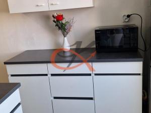 Pronájem bytu 1+1, Valašské Meziříčí, Havlíčkova, 52 m2