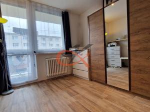 Pronájem bytu 1+1, Valašské Meziříčí, Havlíčkova, 52 m2