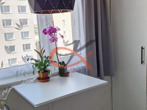Pronájem bytu 1+1, Valašské Meziříčí, Havlíčkova, 52 m2