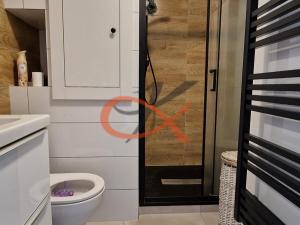 Pronájem bytu 1+1, Valašské Meziříčí, Havlíčkova, 52 m2