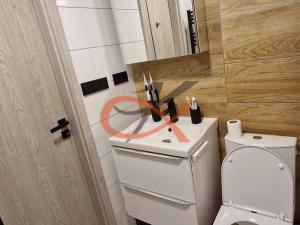 Pronájem bytu 1+1, Valašské Meziříčí, Havlíčkova, 52 m2