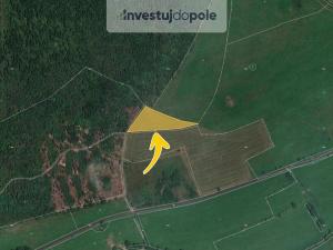 Prodej louky, Měděnec - Horní Halže, 5115 m2