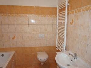 Pronájem bytu 2+1, Ostrov, Hroznětínská, 60 m2