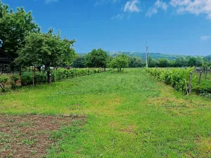 Prodej rodinného domu, Velké Pavlovice, Pod Břehy, 177 m2