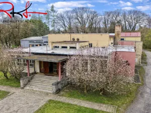 Prodej obchodního prostoru, Chlum u Třeboně, Třeboňská, 1300 m2