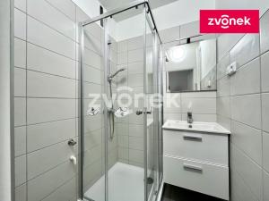Pronájem bytu 1+1, Zlín, Nivy I, 42 m2