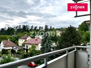 Pronájem bytu 1+1, Zlín, Nivy I, 42 m2