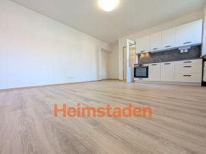 Pronájem bytu 1+kk, Havířov - Šumbark, U Nádraží, 29 m2