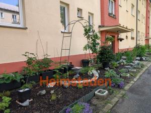 Pronájem bytu 1+kk, Havířov - Šumbark, U Nádraží, 29 m2