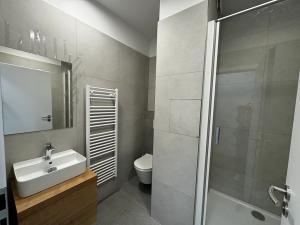 Pronájem bytu 1+1, Vysoké Mýto, 17. listopadu, 37 m2