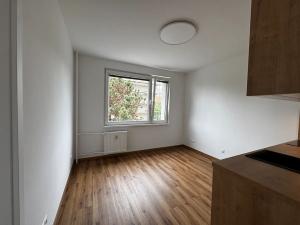 Pronájem bytu 1+1, Vysoké Mýto, 17. listopadu, 37 m2