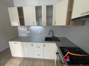 Pronájem bytu 2+1, Opava, Milady Horákové, 55 m2
