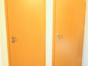 Pronájem bytu 2+kk, Praha - Vinohrady, náměstí Jiřího z Lobkovic, 52 m2